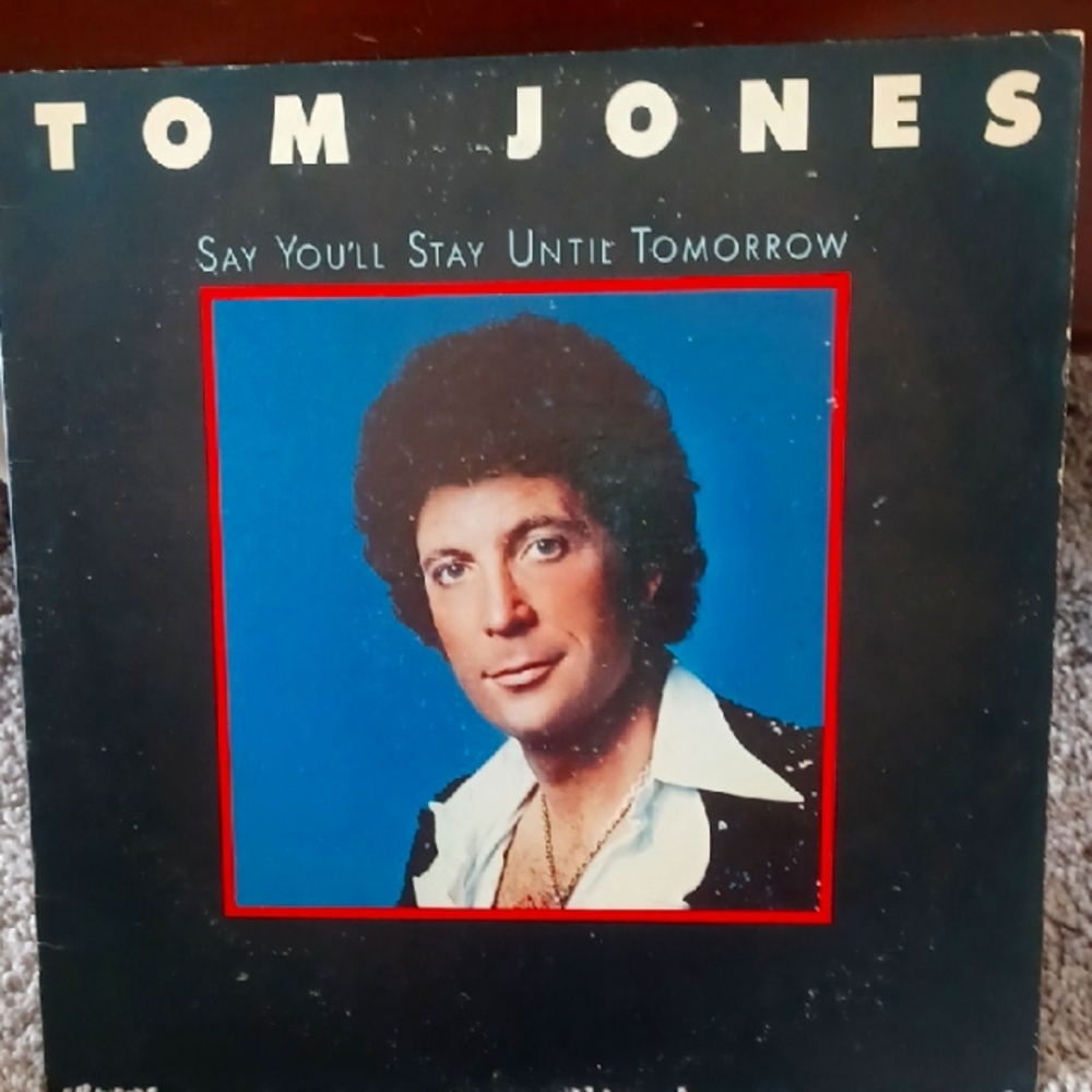 Vinyl Record - Black and Blue